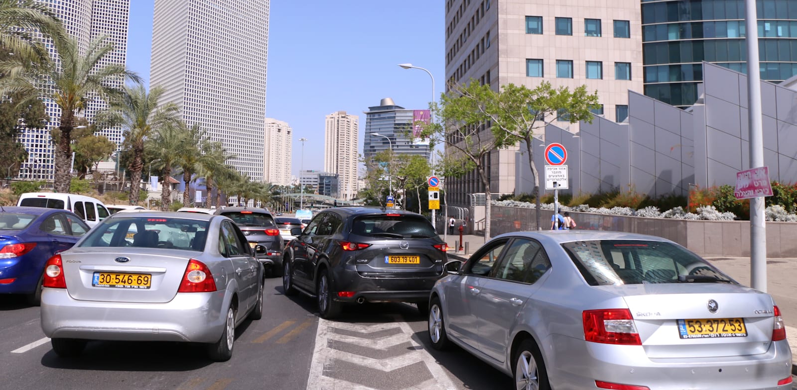 עובדי משרדי הממשלה מחזיקים יותר כלי רכב ביחס לשאר המשק / צילום: כדיה לוי