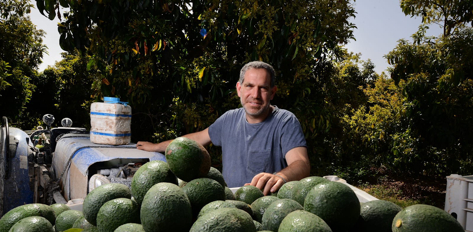 בר חפץ והאבוקדו / צילום: איל יצהר