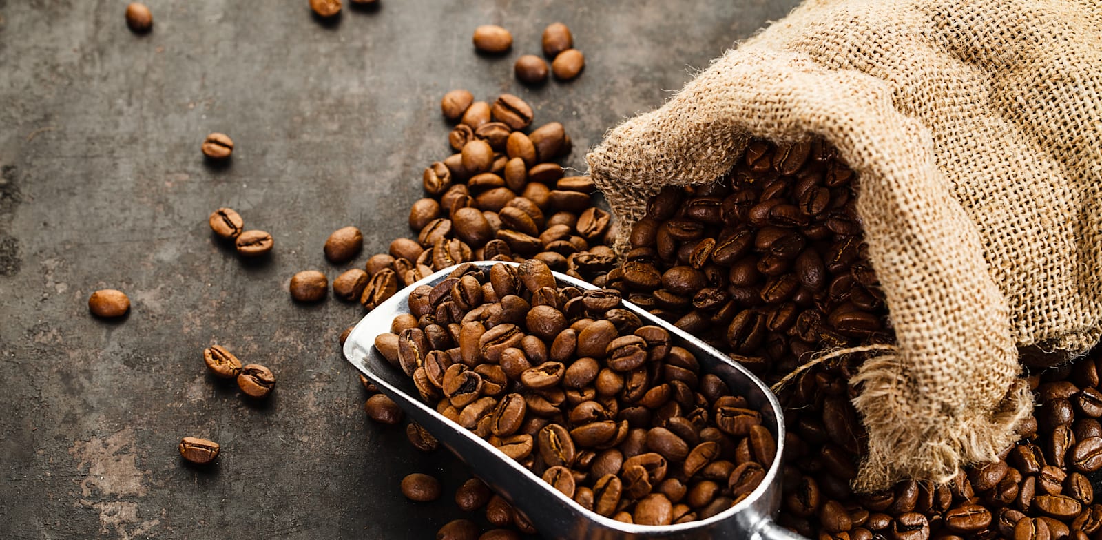 פולי קפה. המחיר צפוי לעלות / צילום: Shutterstock