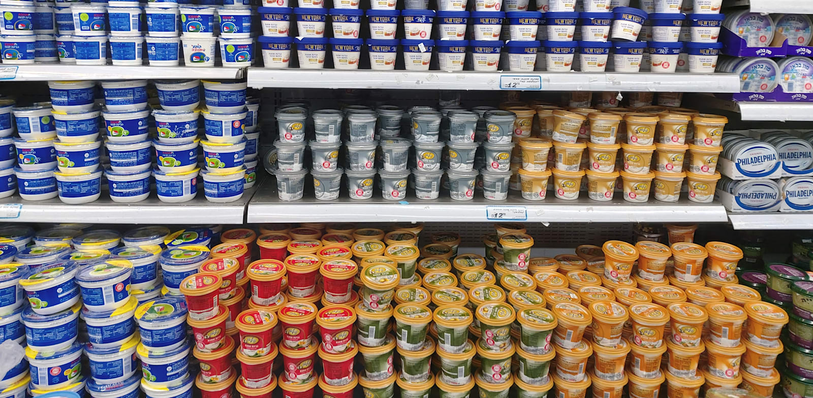 Dairy products Photo: Globes