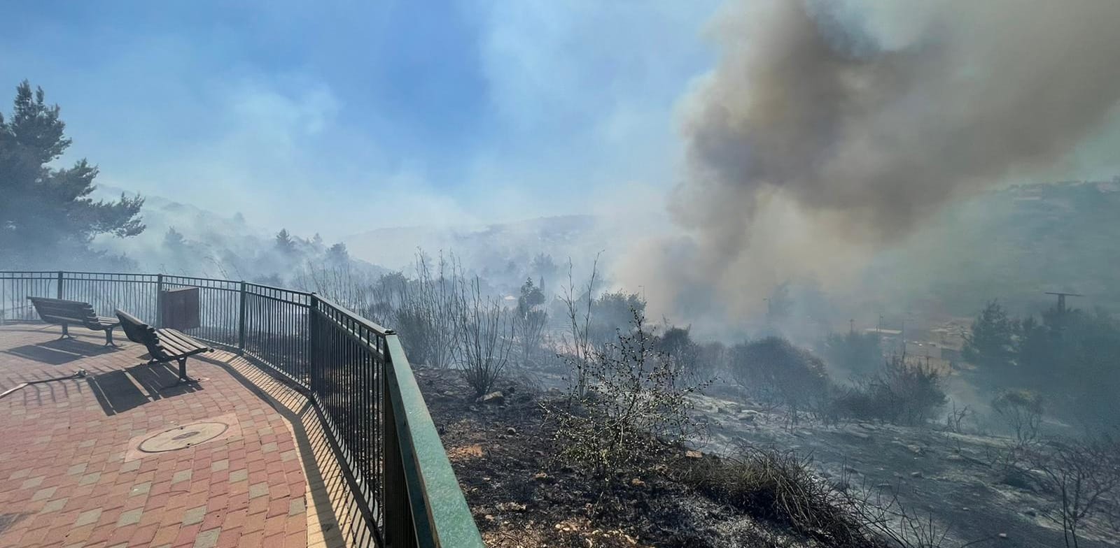 השריפה בצור הדסה אתמול / צילום: דוברות כבאות והצלה