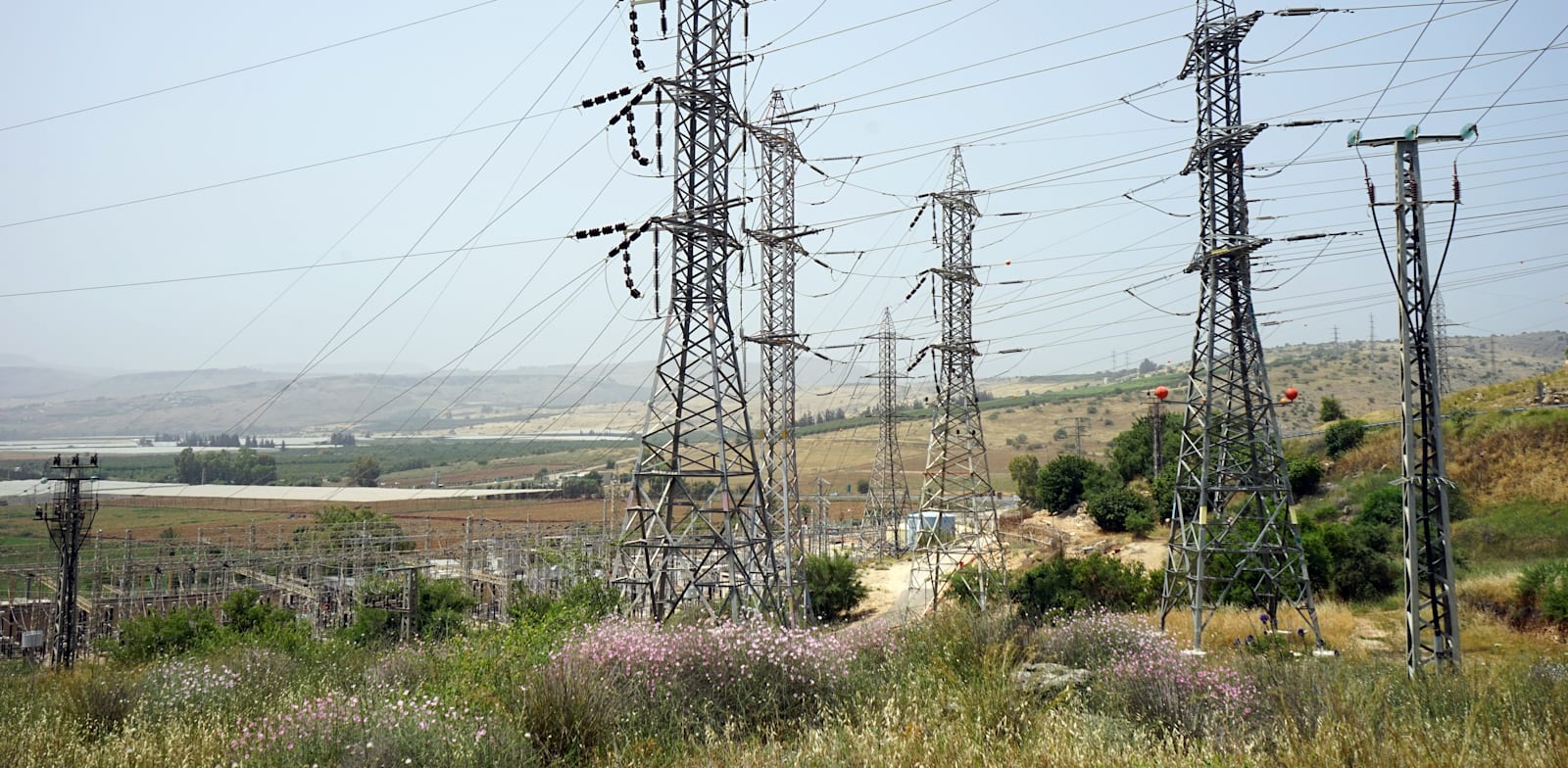 עמודי חשמל / צילום: Shutterstock