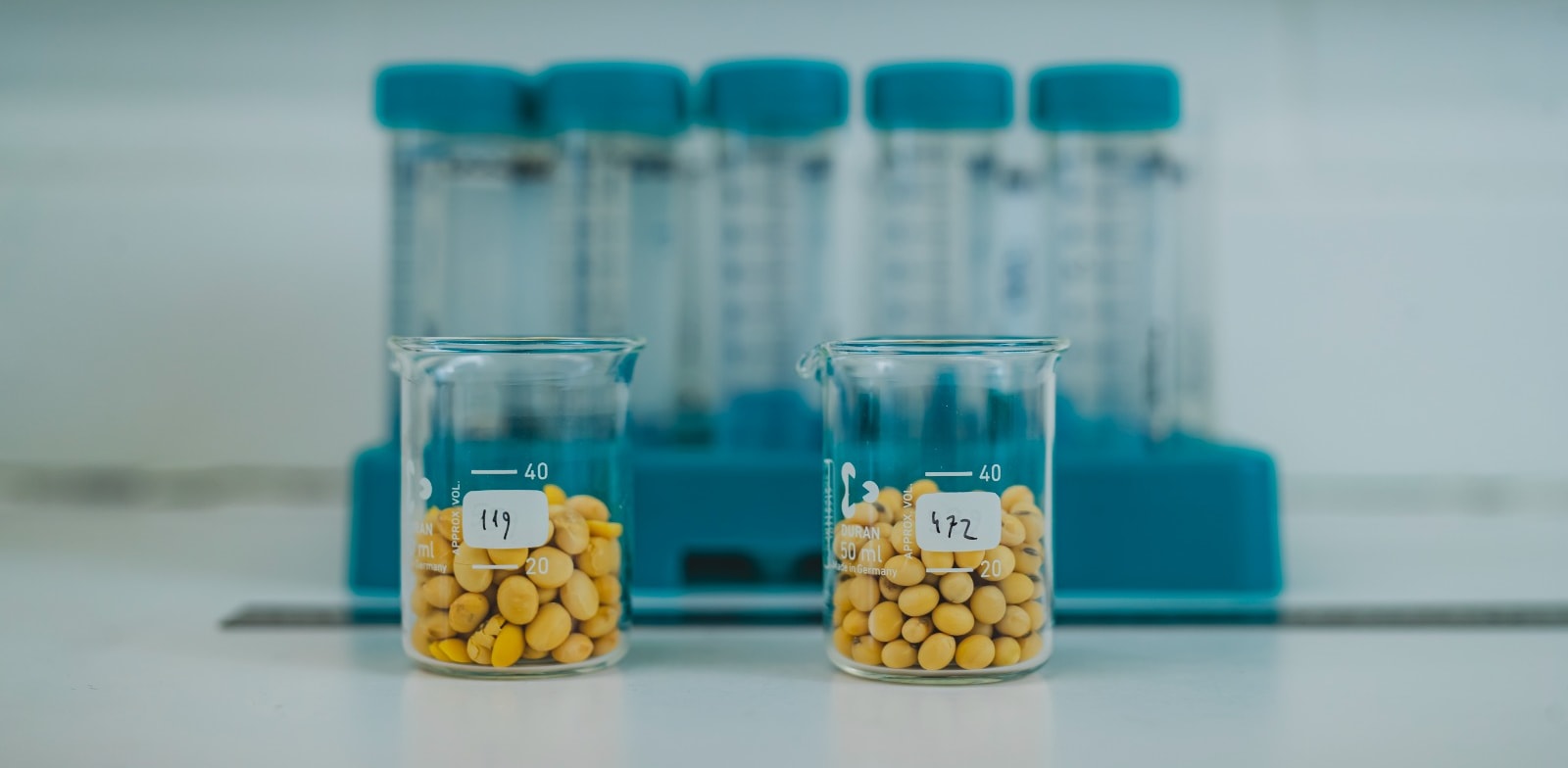 Equinom's proteins credit: Victor Ben Zion Levy