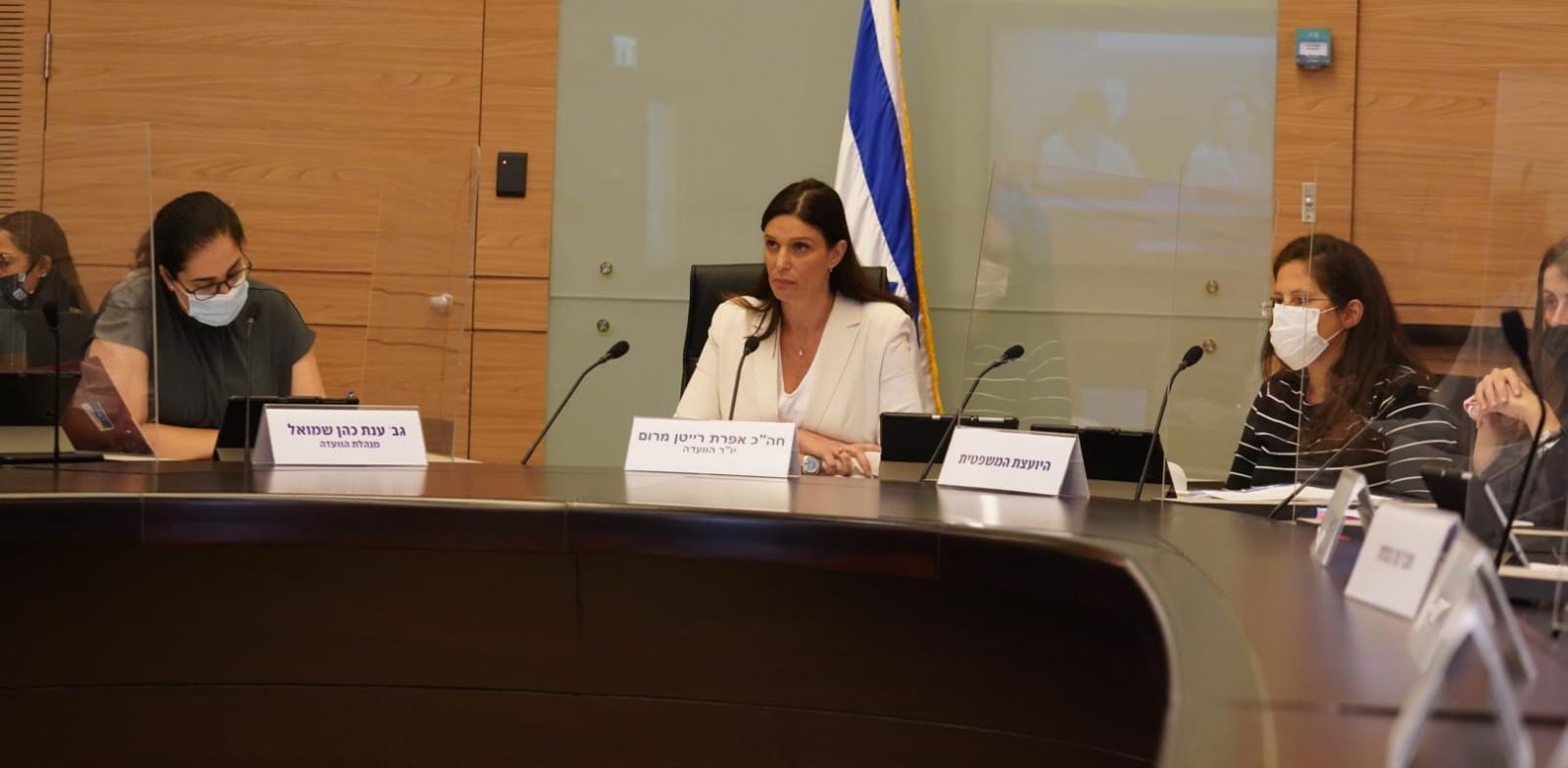 אפרת רייטן, יו''רית ועדת העבודה, הרווחה והבריאות של הכנסת / צילום: דוברות הכנסת, דני שם טוב
