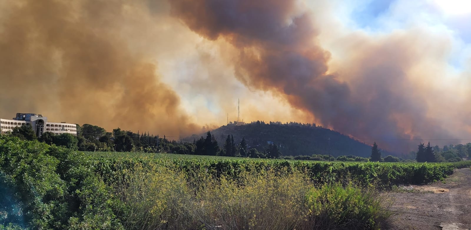 The blaze in the Jerusalem Hills, August 2021 Credit: Boris Kripak, Israel Nature and Park Authority