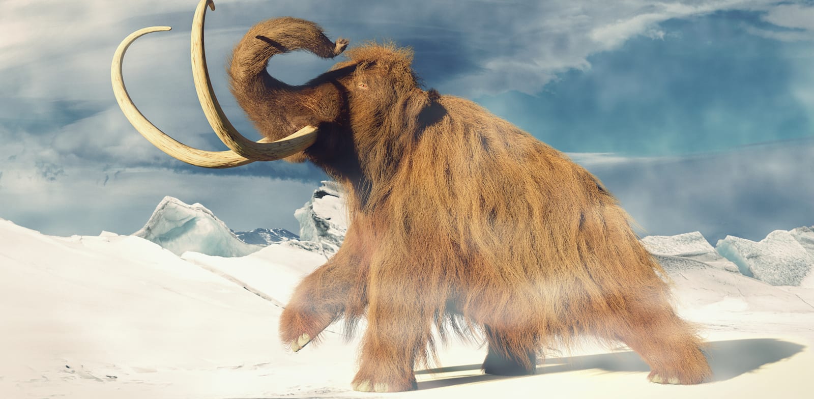 ממותה / הדמיה: Shutterstock, Dotted Yeti