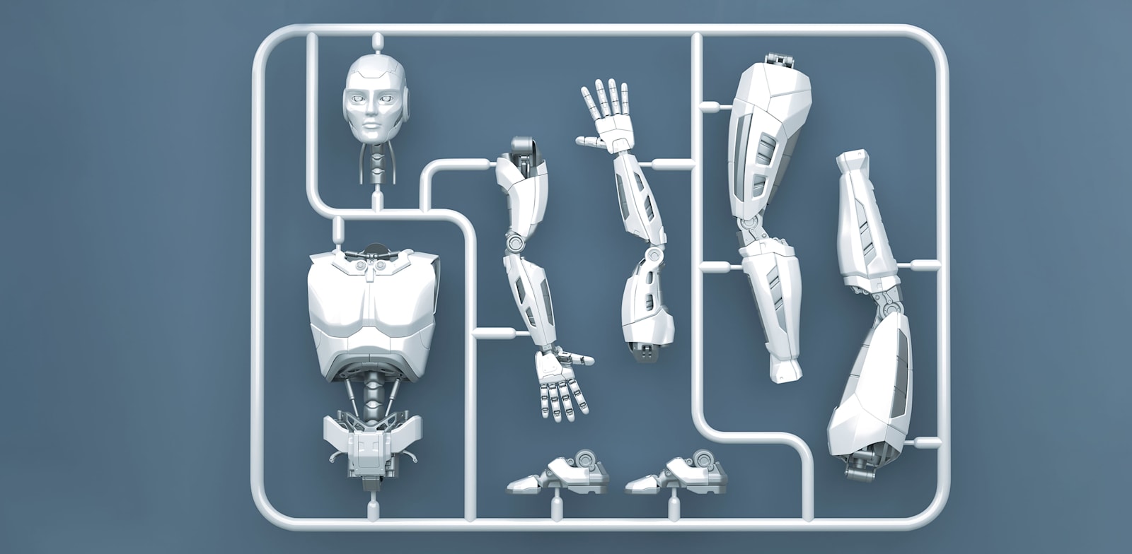 כך הפכה ישראל למעצמה בינלאומית של הנדסת איברים / צילום: Shutterstock