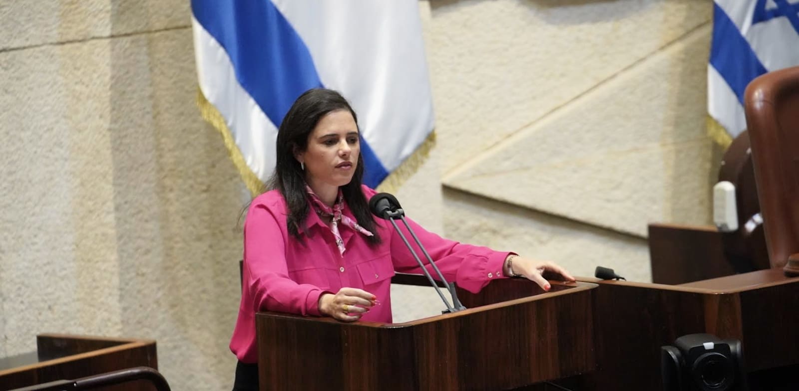 שרת הפנים איילת שקד / צילום: דני שם טוב, דוברות הכנסת