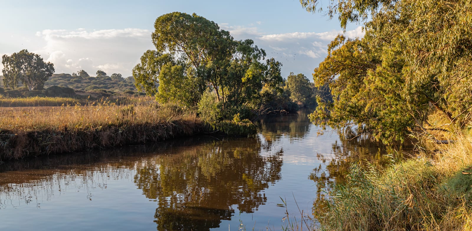 נחל אלכסנדר / צילום: Shutterstock