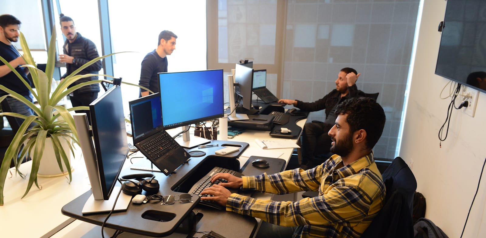 משרדי סיגניה השבוע / צילום: איל יצהר