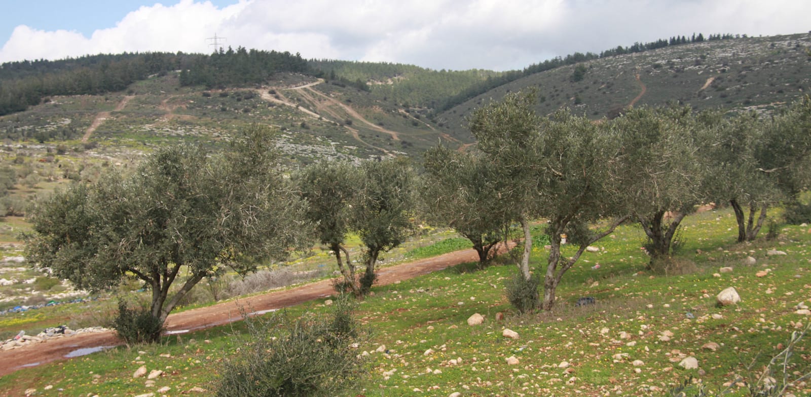 רכס מורדות נצרת / צילום: אורלי גנוסר