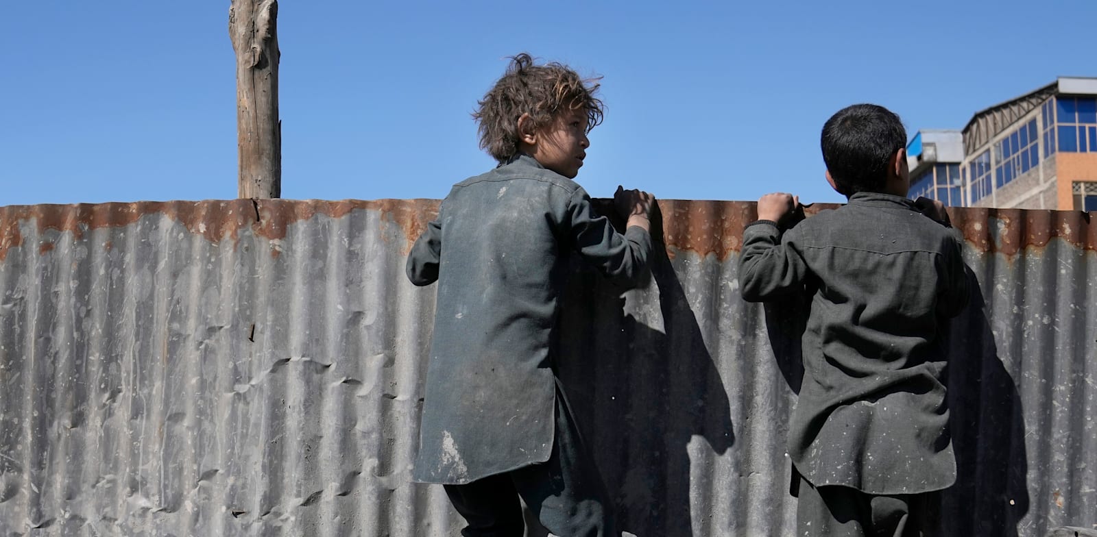 נערים אפגנים בבירה קאבול / צילום: Associated Press, Hussein Malla