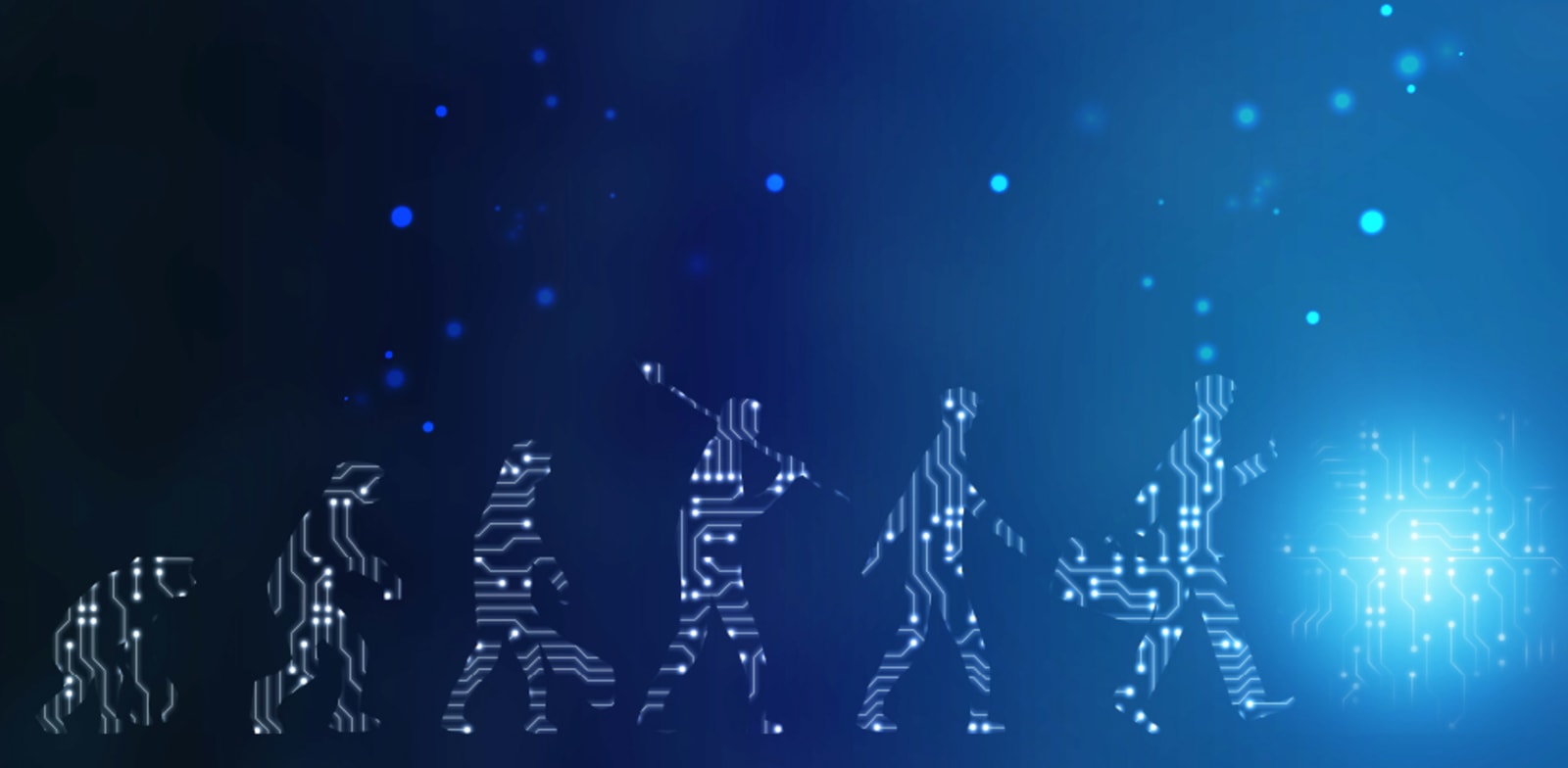 צילום: דוברת רפאל