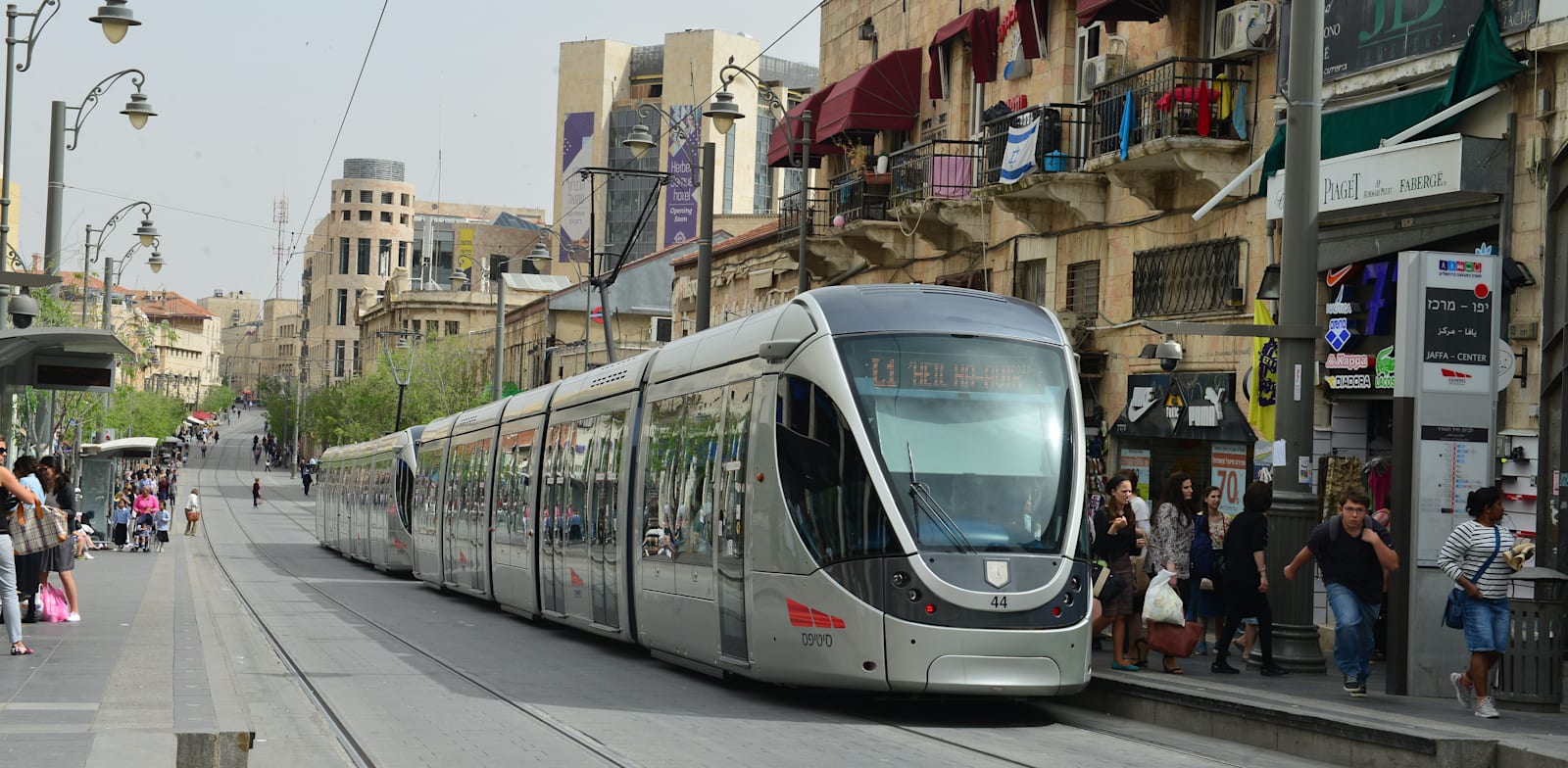 צילום: תמר מצפי