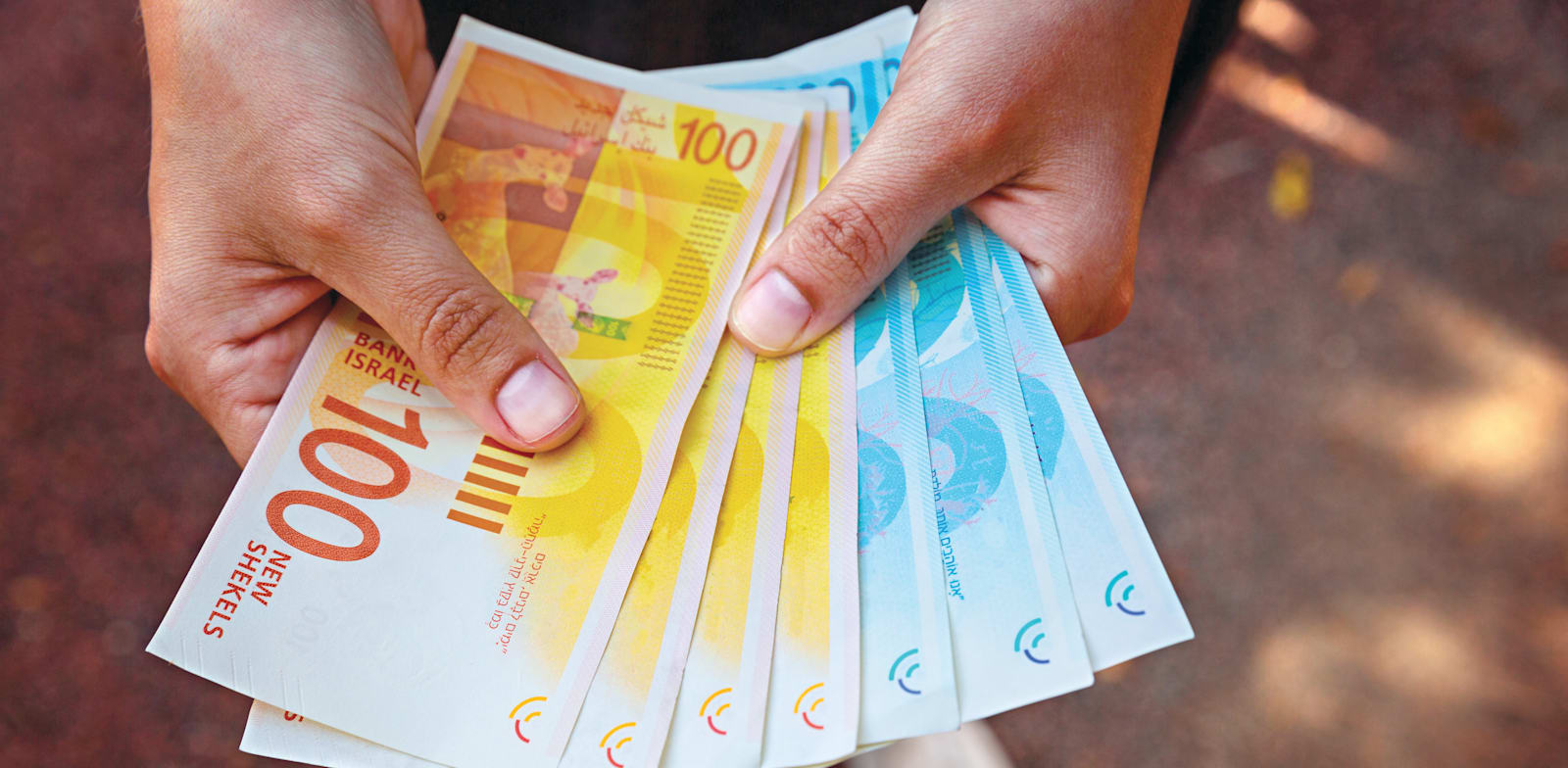 מזומן / צילום: Shutterstock