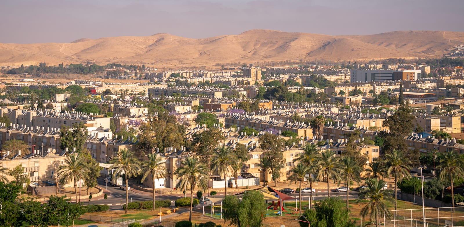 דימונה. מציגה את ההפסד הריאלי הגדול ביותר עבור דירות שמשקיעים מכרו. / צילום: Shutterstock