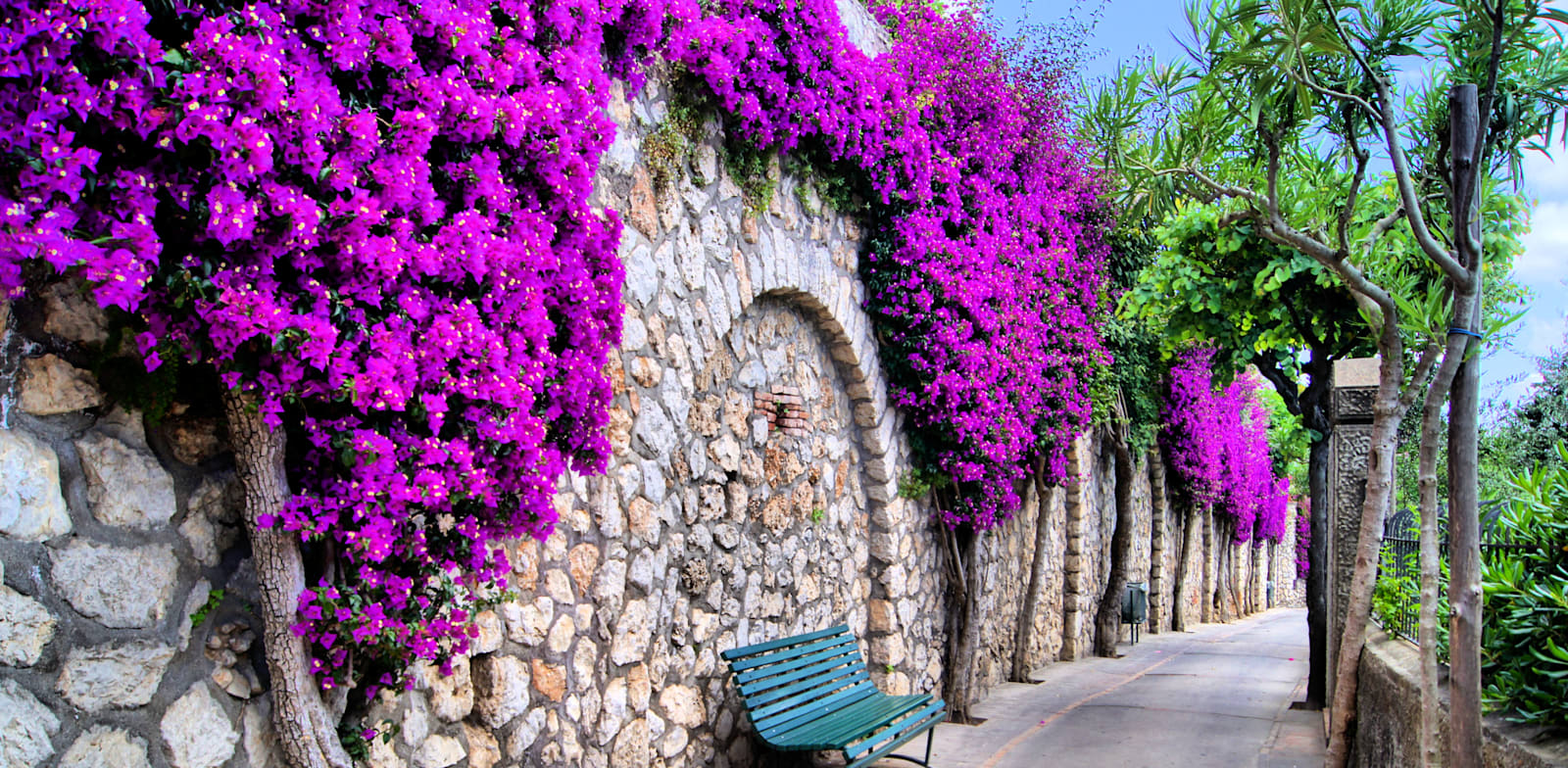 האי קאפרי, איטליה / צילום: Shutterstock, JeniFoto