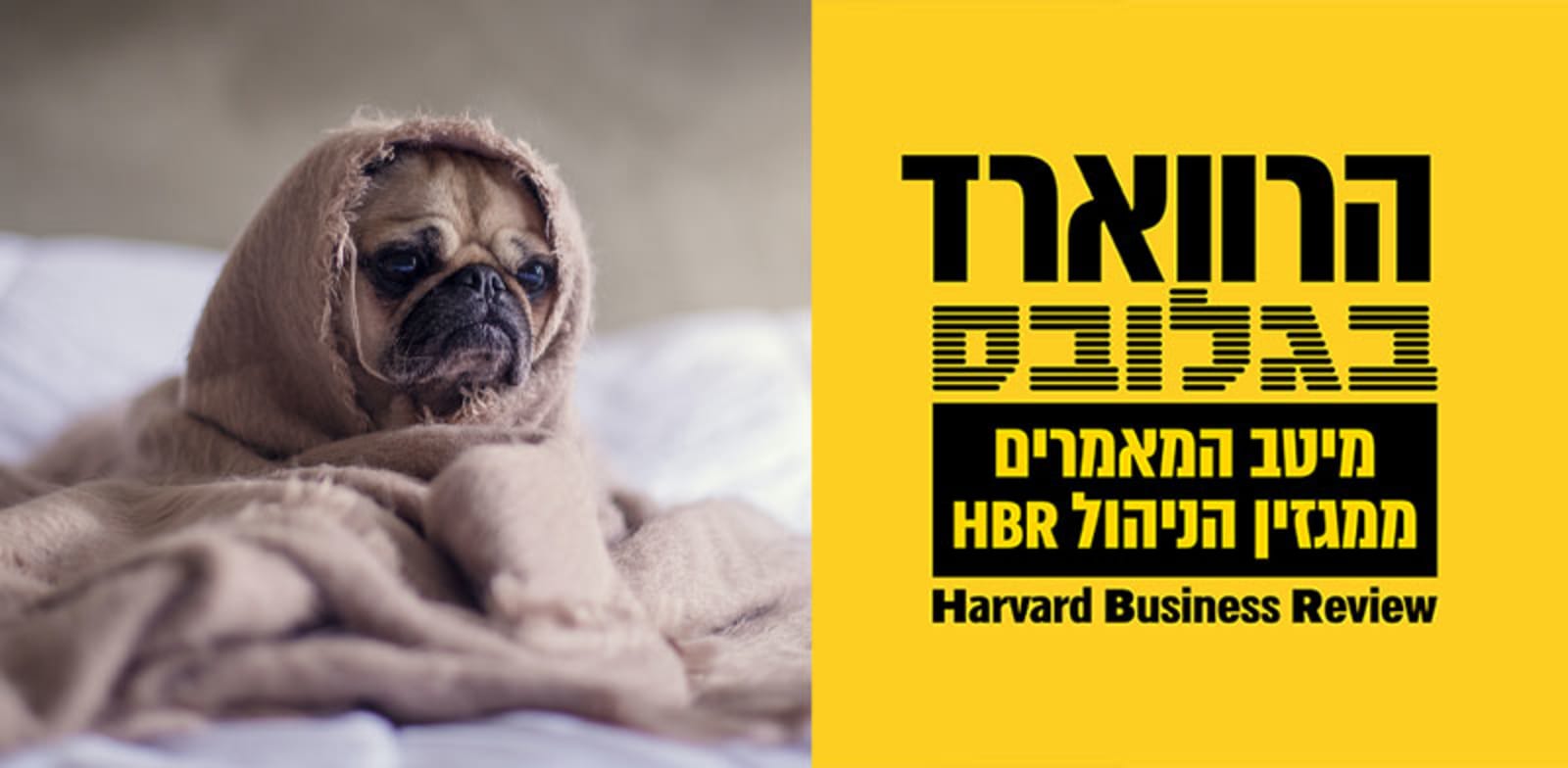 התגברות על חרדה ולחץ בקבלת החלטות חשובות / צילום: Unsplash, matthew henry