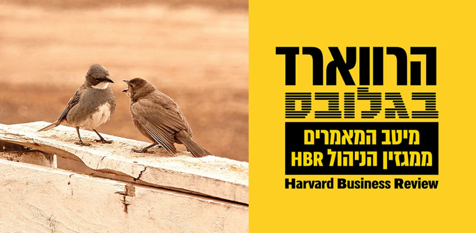 הרווארד בגלובס. על הדרך הנכונה לעשות נטוורקינג / צילום: Unsplash, Ignacio Amenábar