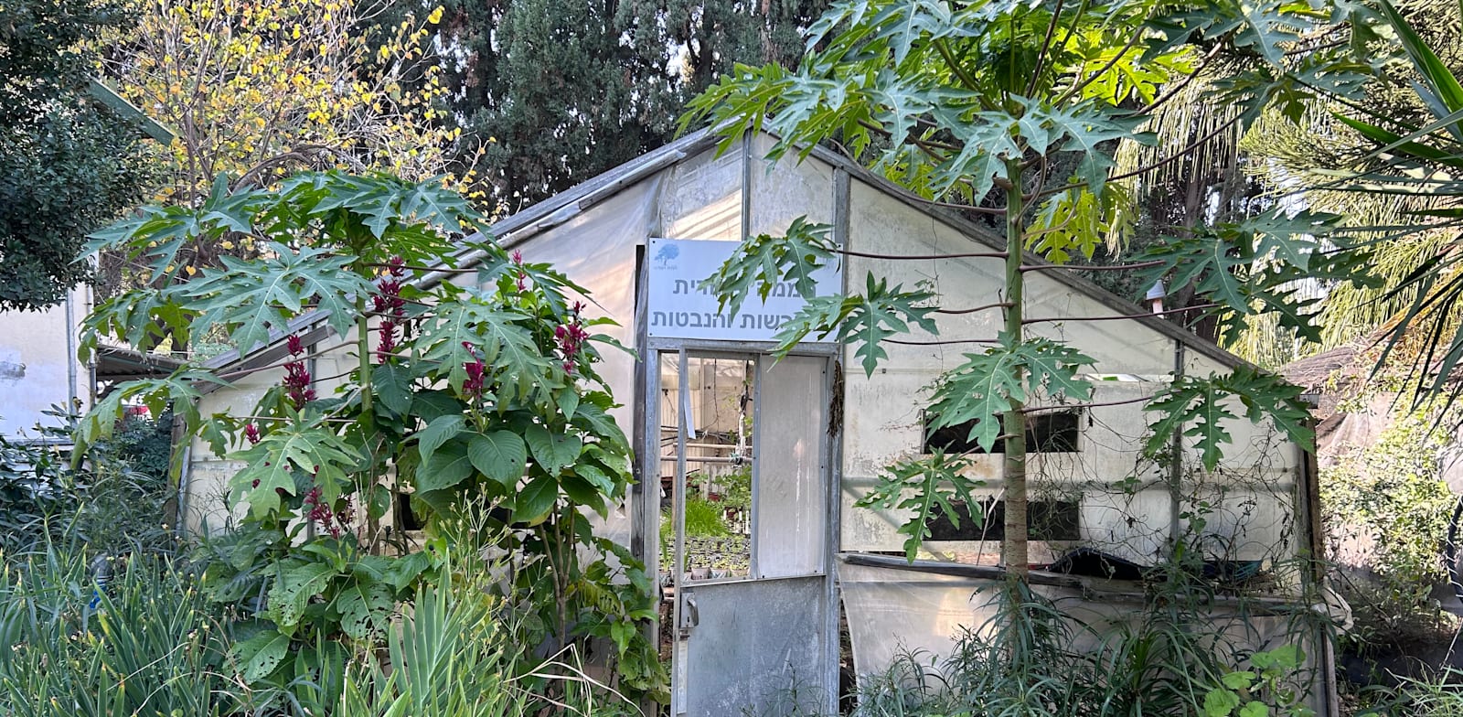 חממה בחוות הנוי. תיירות חקלאית–קולינרית ברוח התקופה / צילום: לימור ארליכמן