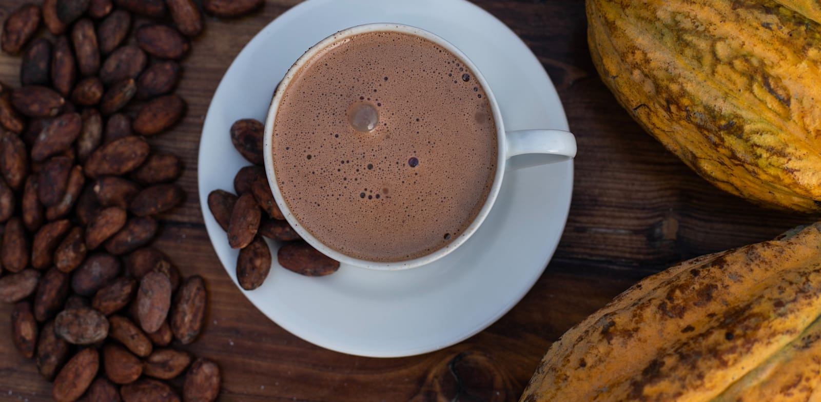 קקאו / צילום: Shutterstock