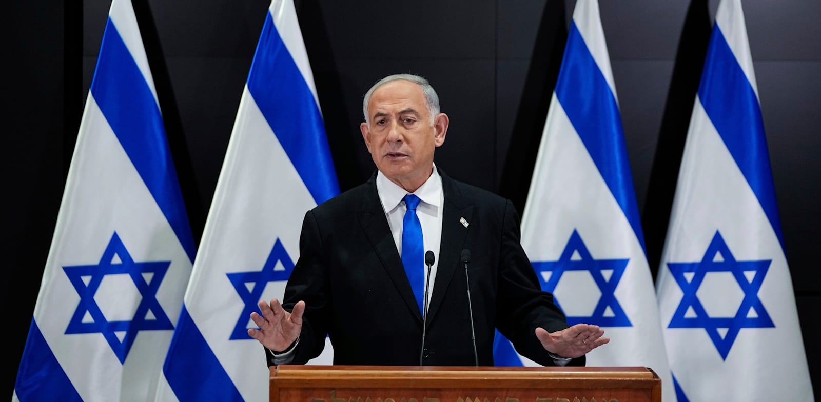 ראש הממשלה בנימין נתניהו / צילום: Associated Press, Ohad Zwigenberg