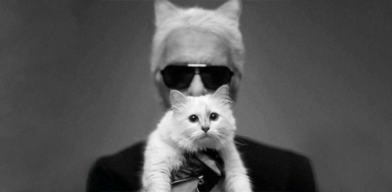 קרל לגרפלד והחתולה שופט / צילום: Reuters, BANG Showbiz