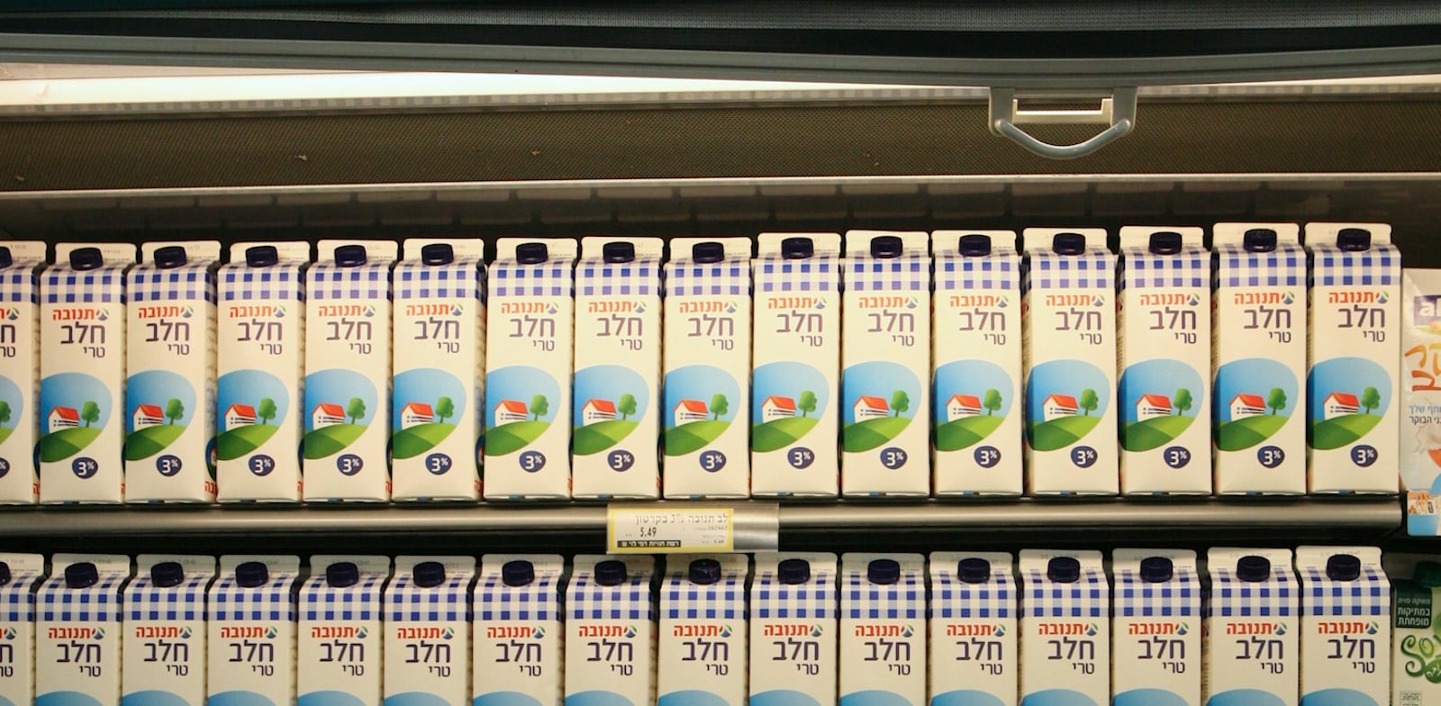מדפי חלב בסופרמרקט / צילום: עינת לברון
