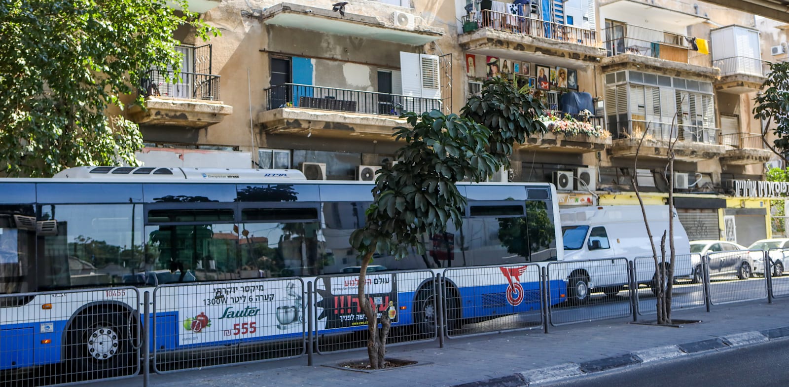 אוטובוס של חברת דן / צילום: שלומי יוסף