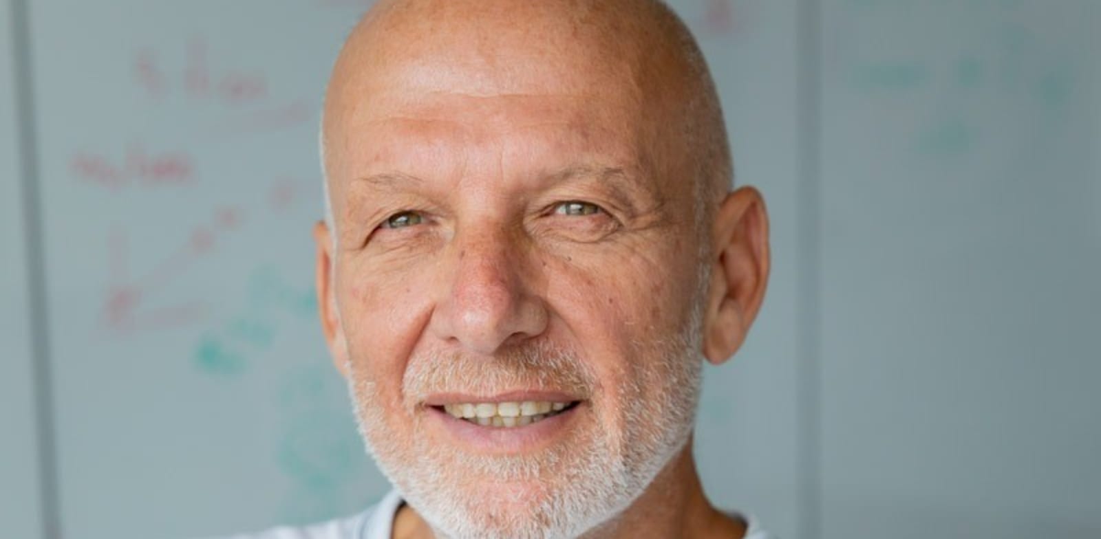 דורון גרסטל, מנכ״ל פריון / צילום: פריון