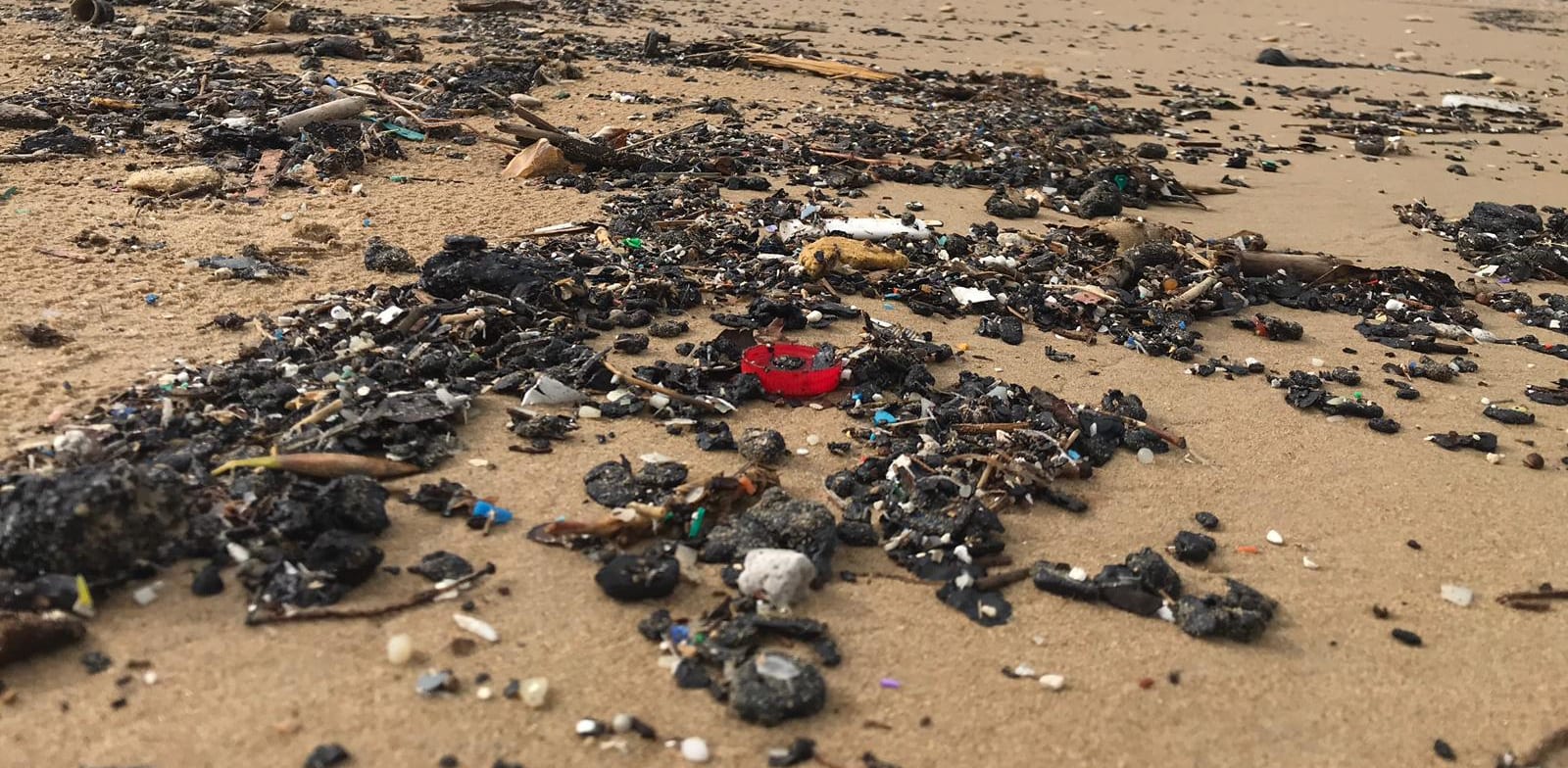 הצטברות זפת על חוף הים / צילום: מרכז למחקר סביבתי חיפה