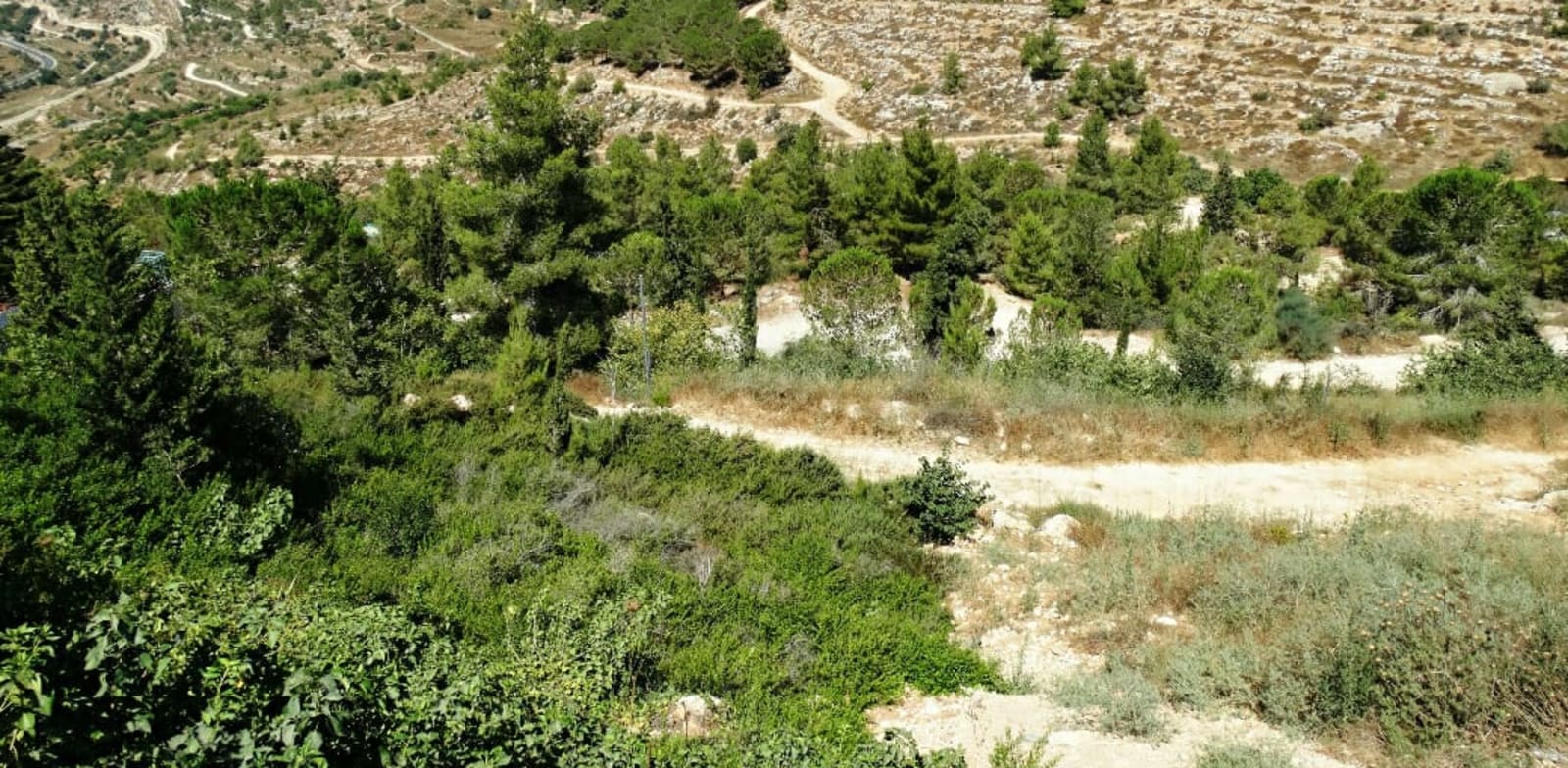 אזור "רכס לבן", ירושלים / צילום: דב גרינבלט, החברה להגנת הטבע