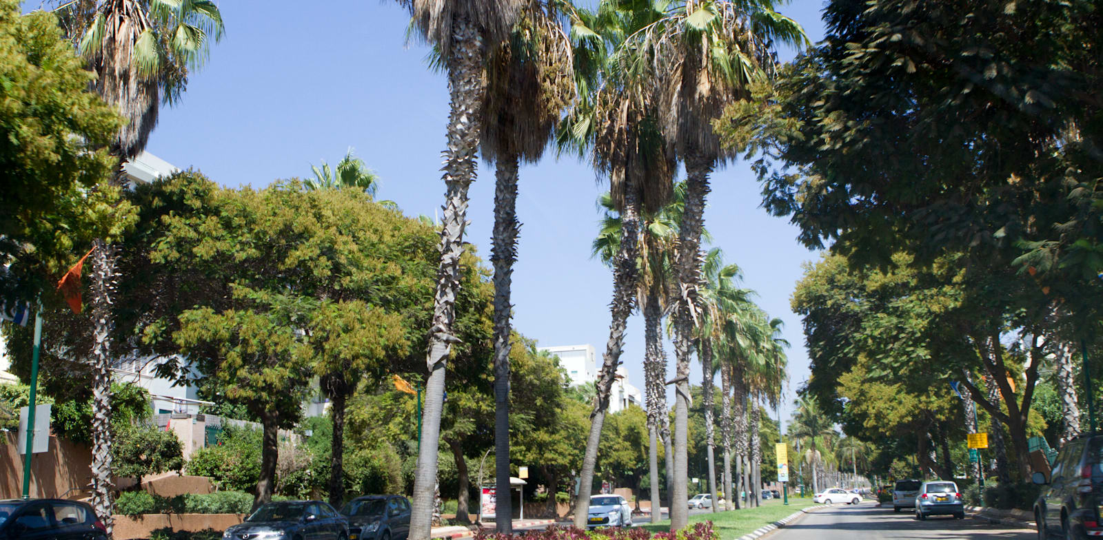 רעננה. השכונה החדשה אמורה להוסיף לעיר 20 אלף תושבים / צילום: שלומי יוסף