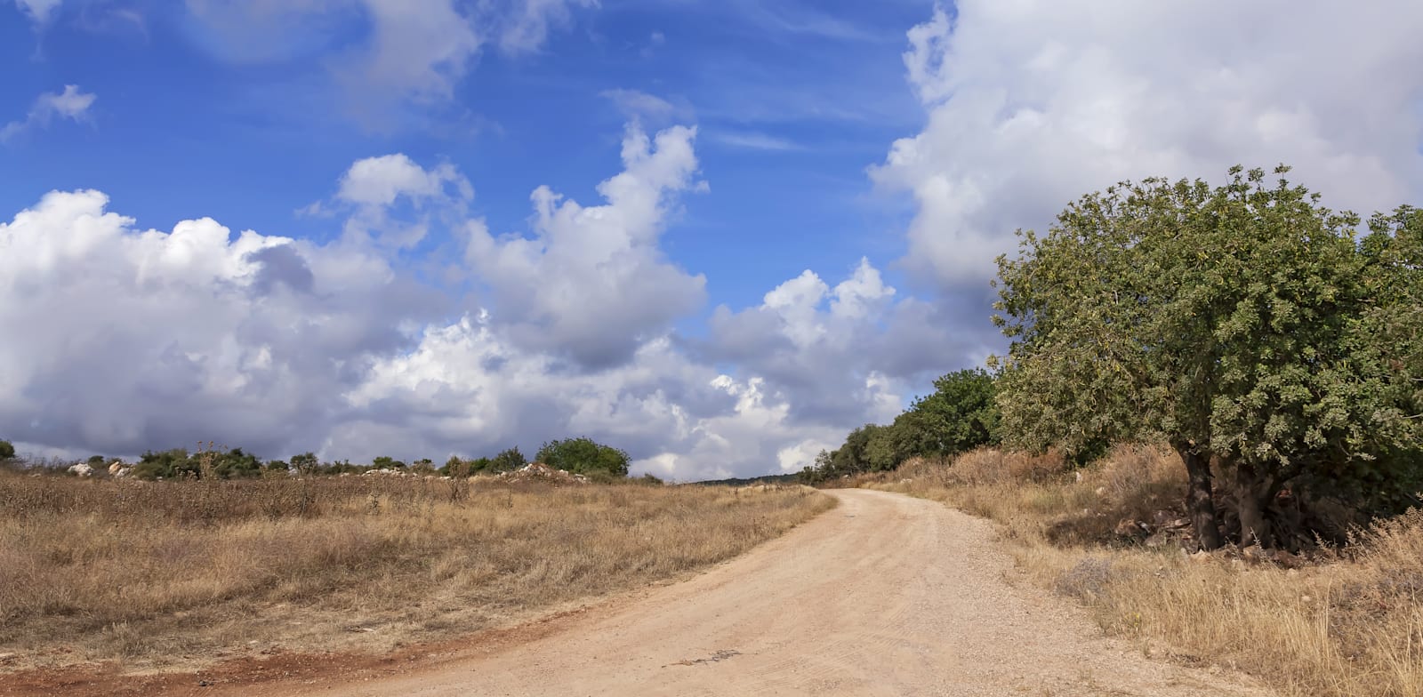 דרך צדדית. מה שנדרש הוא טרקטוריסט וכמה משאיות עם מצע כורכר / צילום: Shutterstock