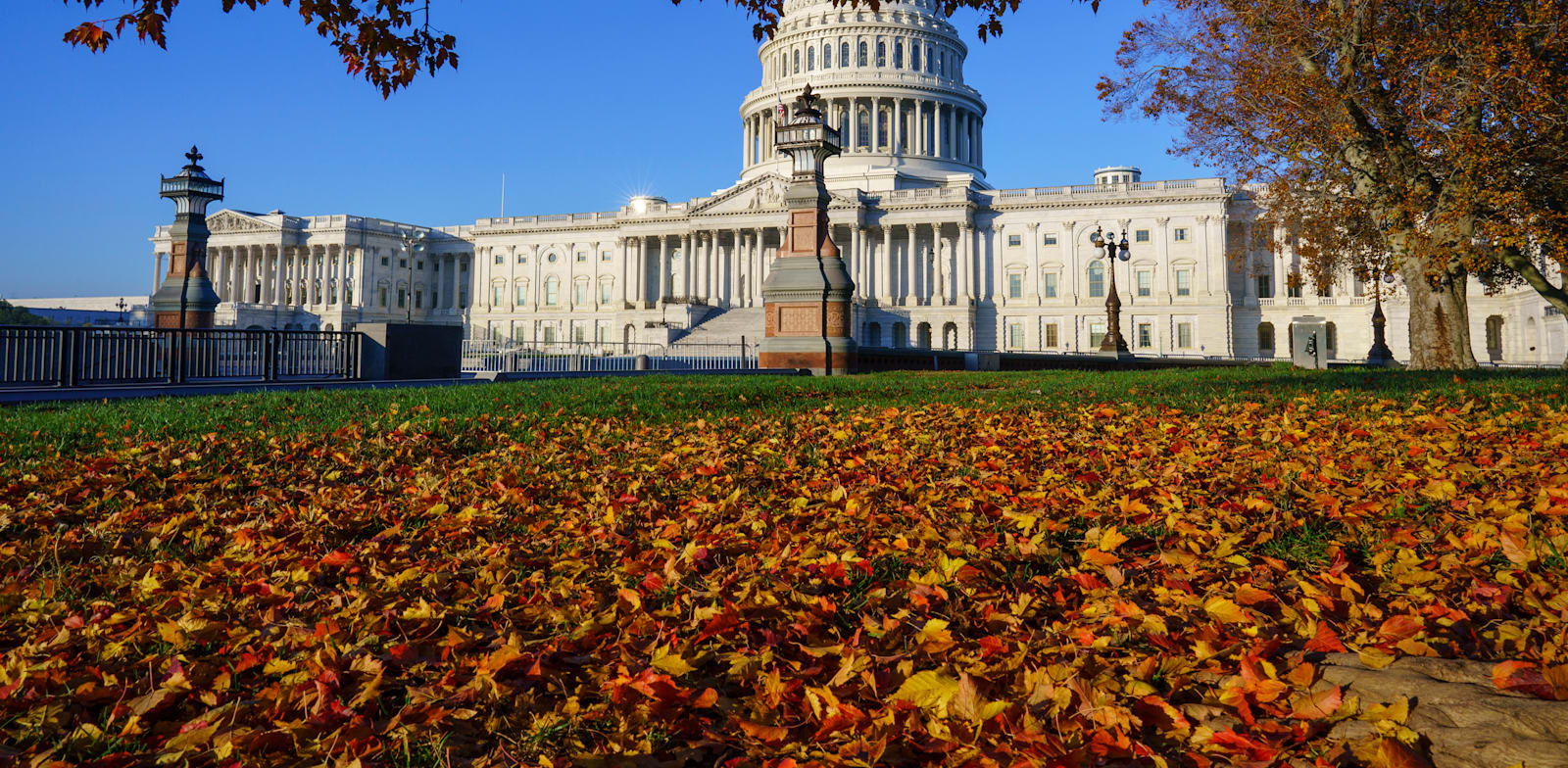 גבעת הקפיטול בוושינגטון DC / צילום: Associated Press, J. Scott Applewhite
