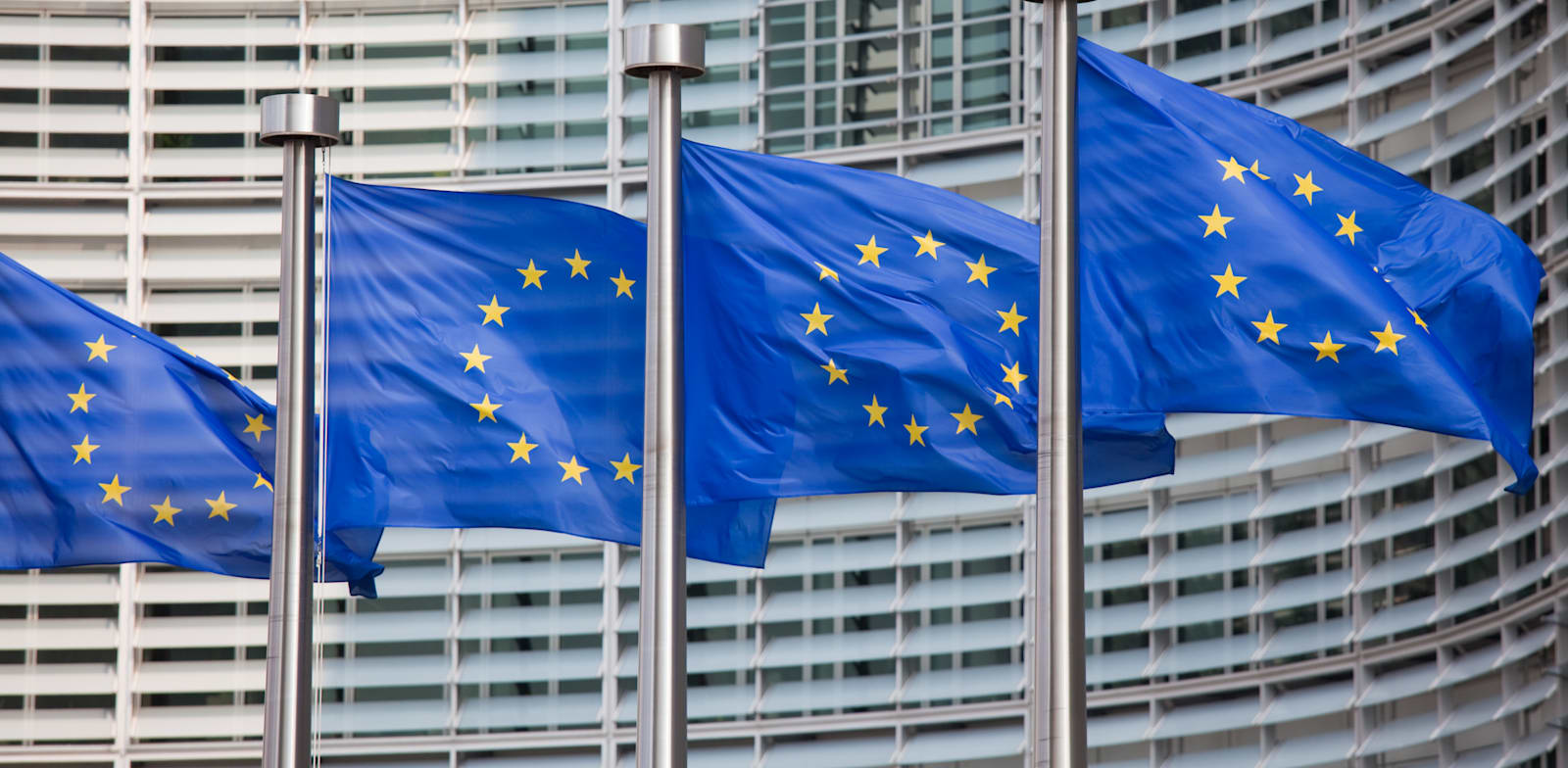 דגלי האיחוד האירופי / צילום: Shutterstock