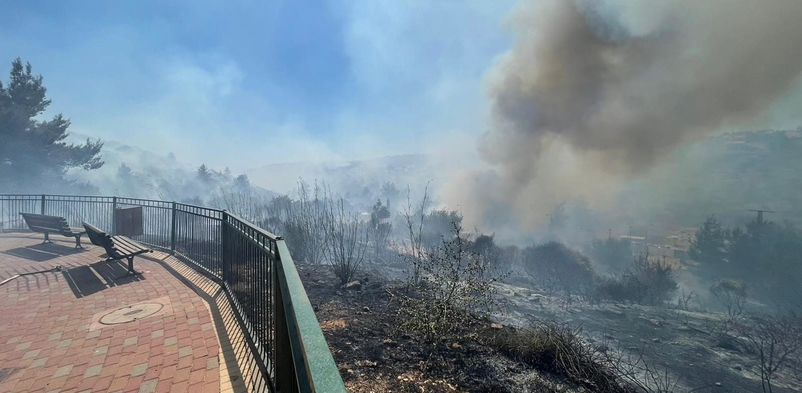 השריפה בצור הדסה אתמול / צילום: דוברות כבאות והצלה