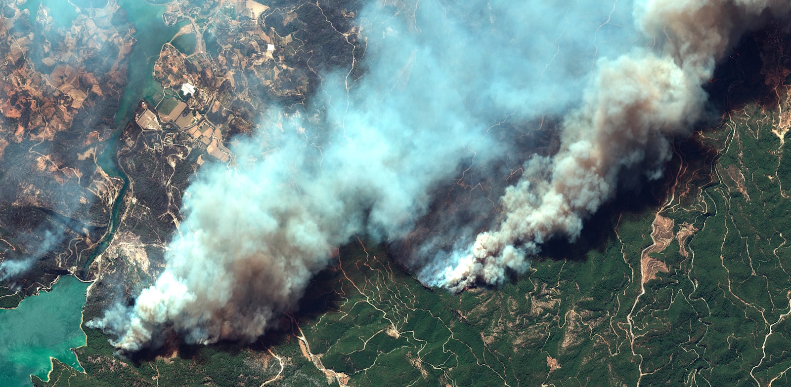 השריפות בטורקיה, החודש / צילום: Associated Press