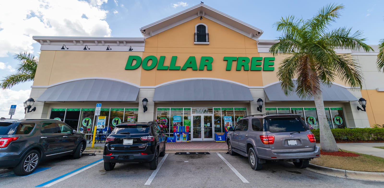 הרשת Dollar Tree / צילום: Shutterstock, John Mantell