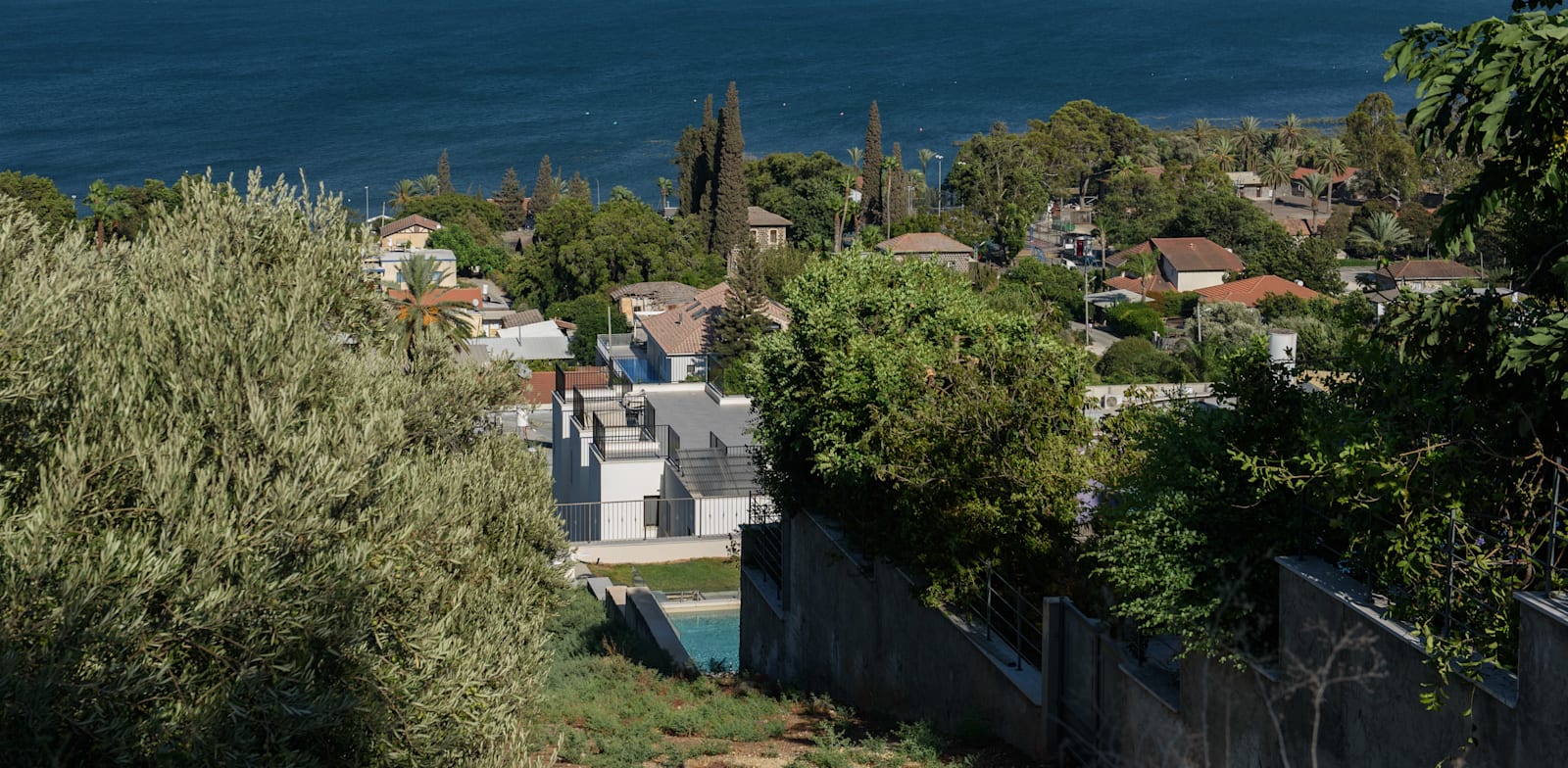 Moshav Kinneret Photo: Eyal Hatzafon