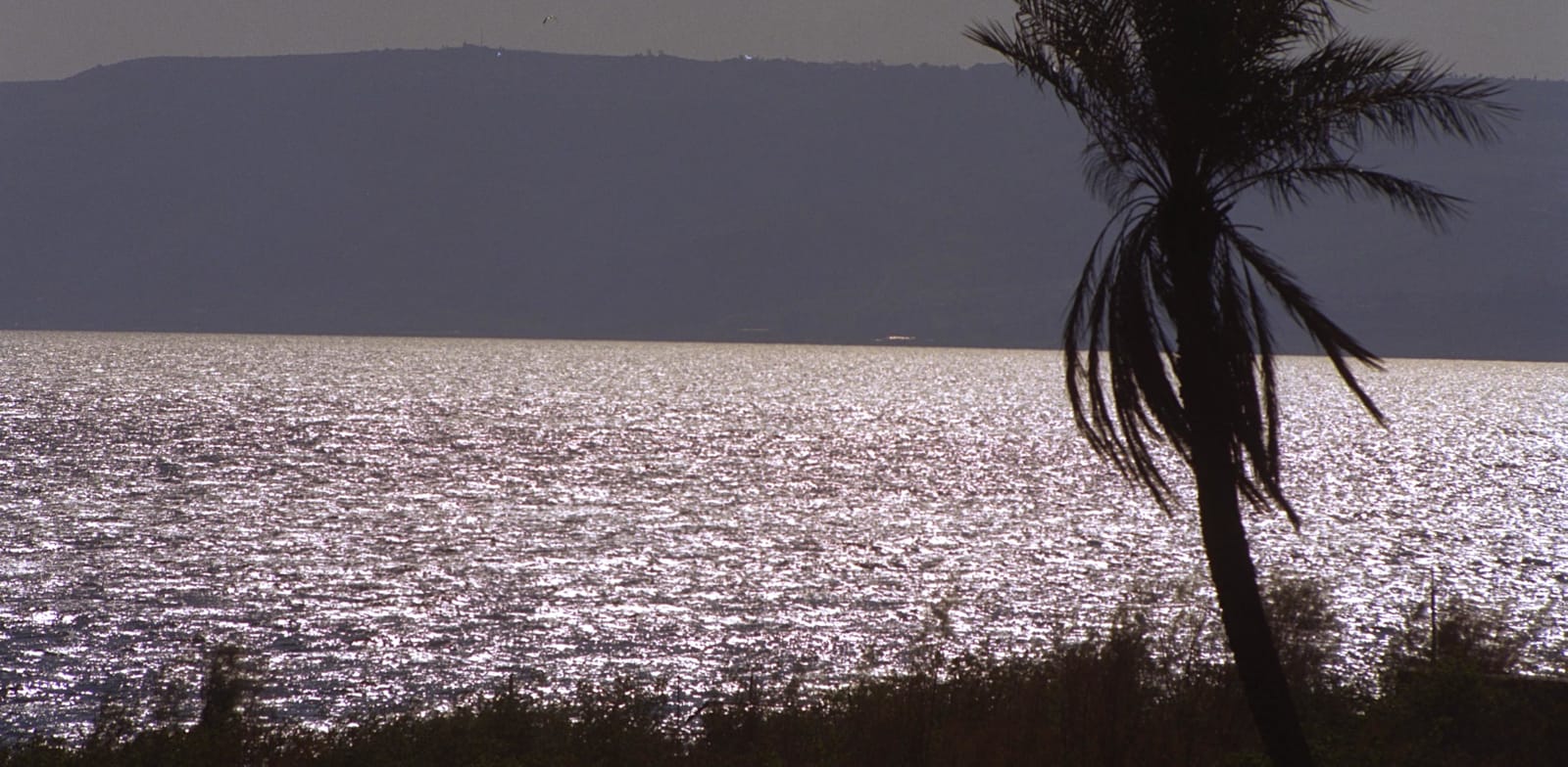 Kinneret photo: Moshe Milner GPO