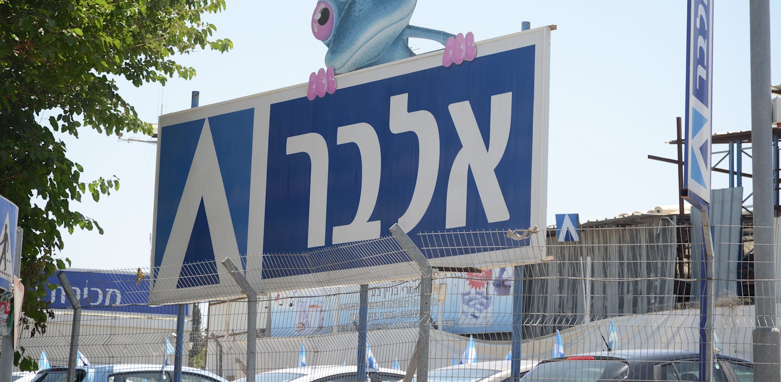 אלבר / צילום: איל יצהר