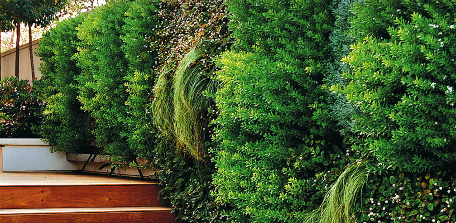 Vertical Field credit: Company website