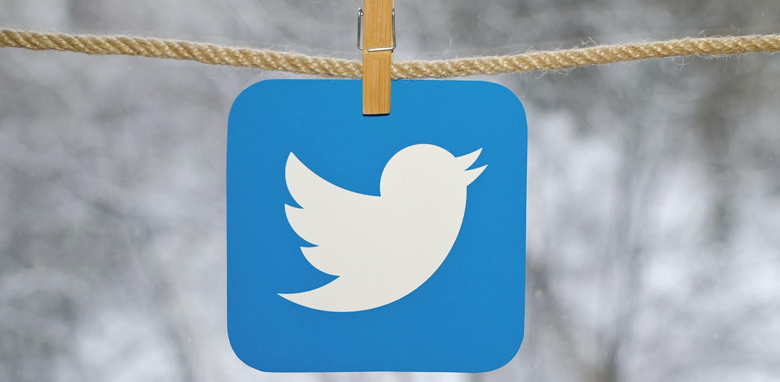 Twitter glitch Some users manage to get back to activity The