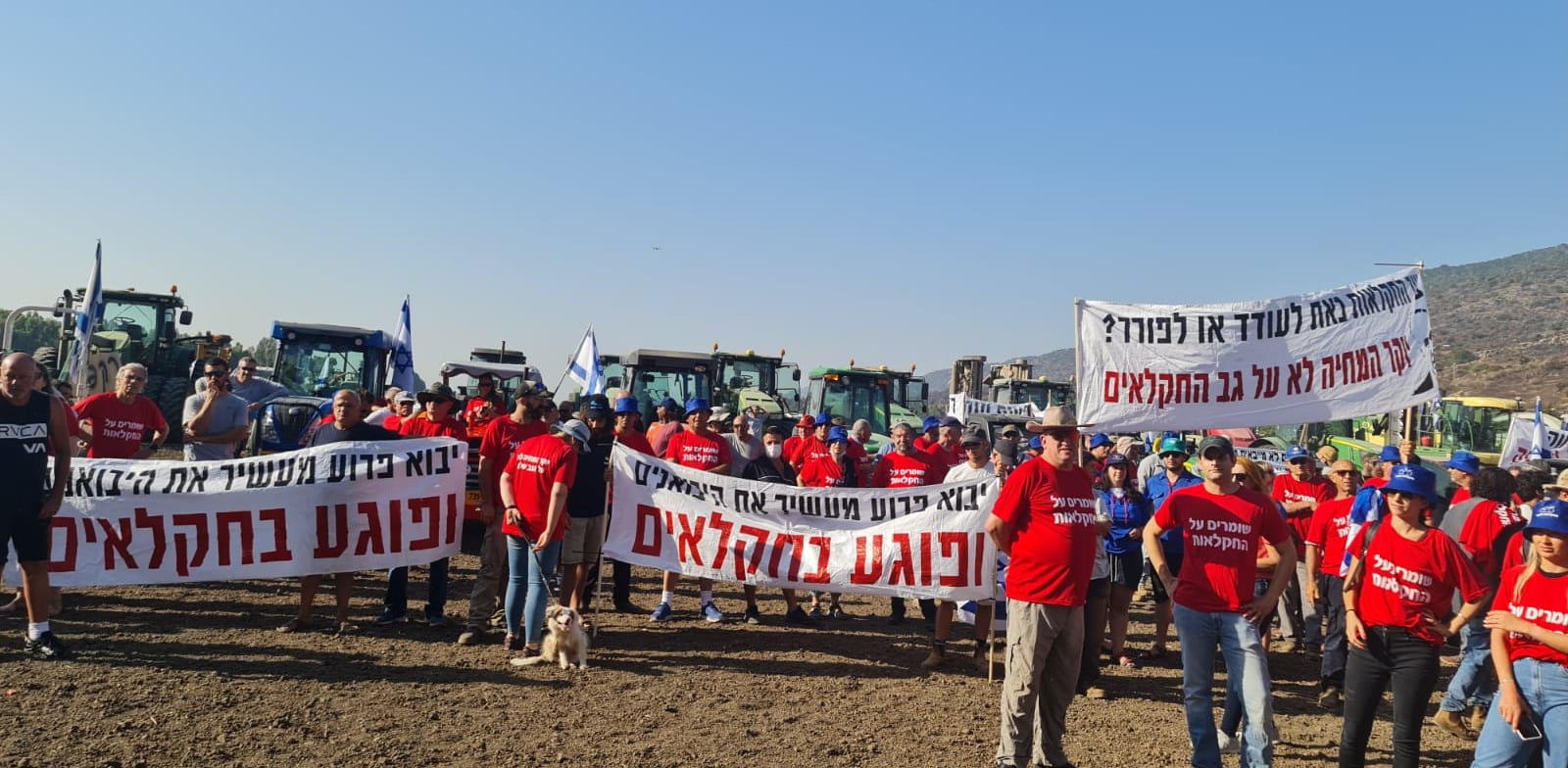 מחירי הפירות והירקות בישראל במגמת עלייה. וזו הסיבה - Vimarsana News