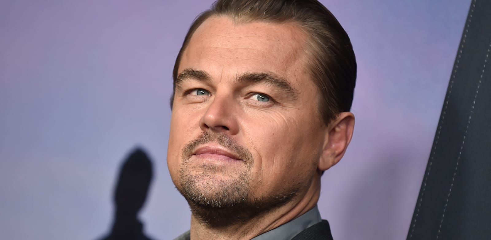 Leonardo DiCaprio Photo: Shutterstock