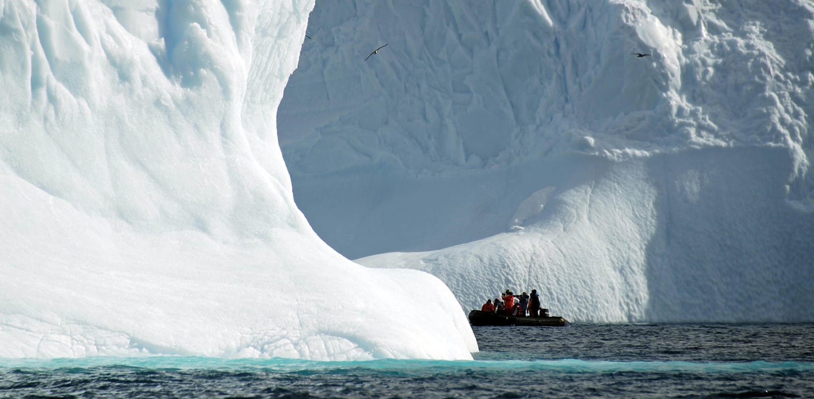 אנטארקטיקה, מוקדם יותר השנה / צילום: Reuters, Victor Carreira / Latin America News Agency