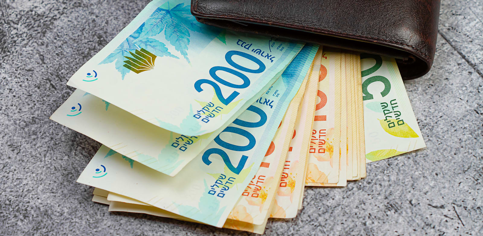 Shekel Bounces Back Strongly Globes