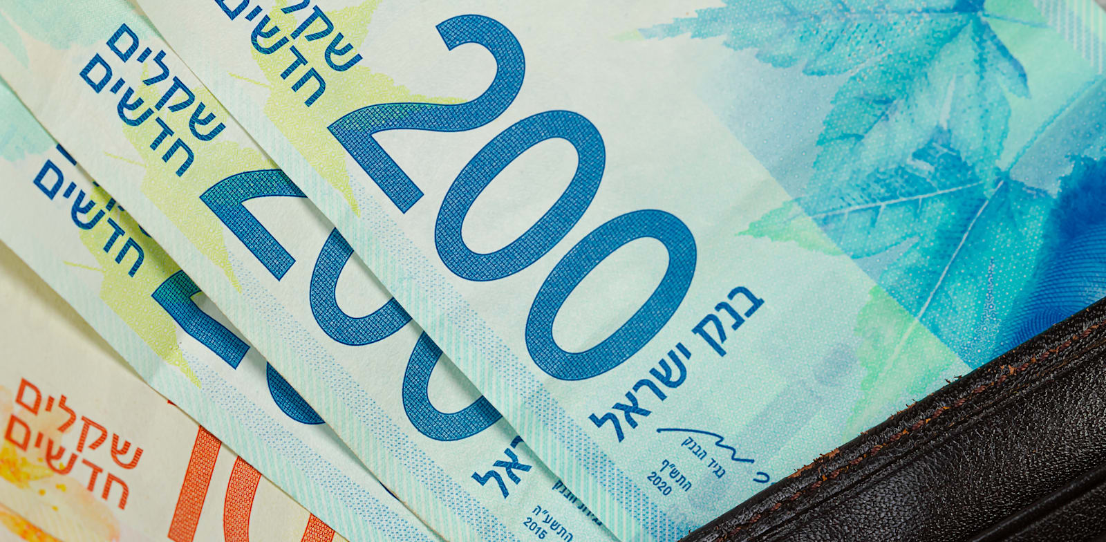 Shekel Foto: Shutterstock Vladirina 32