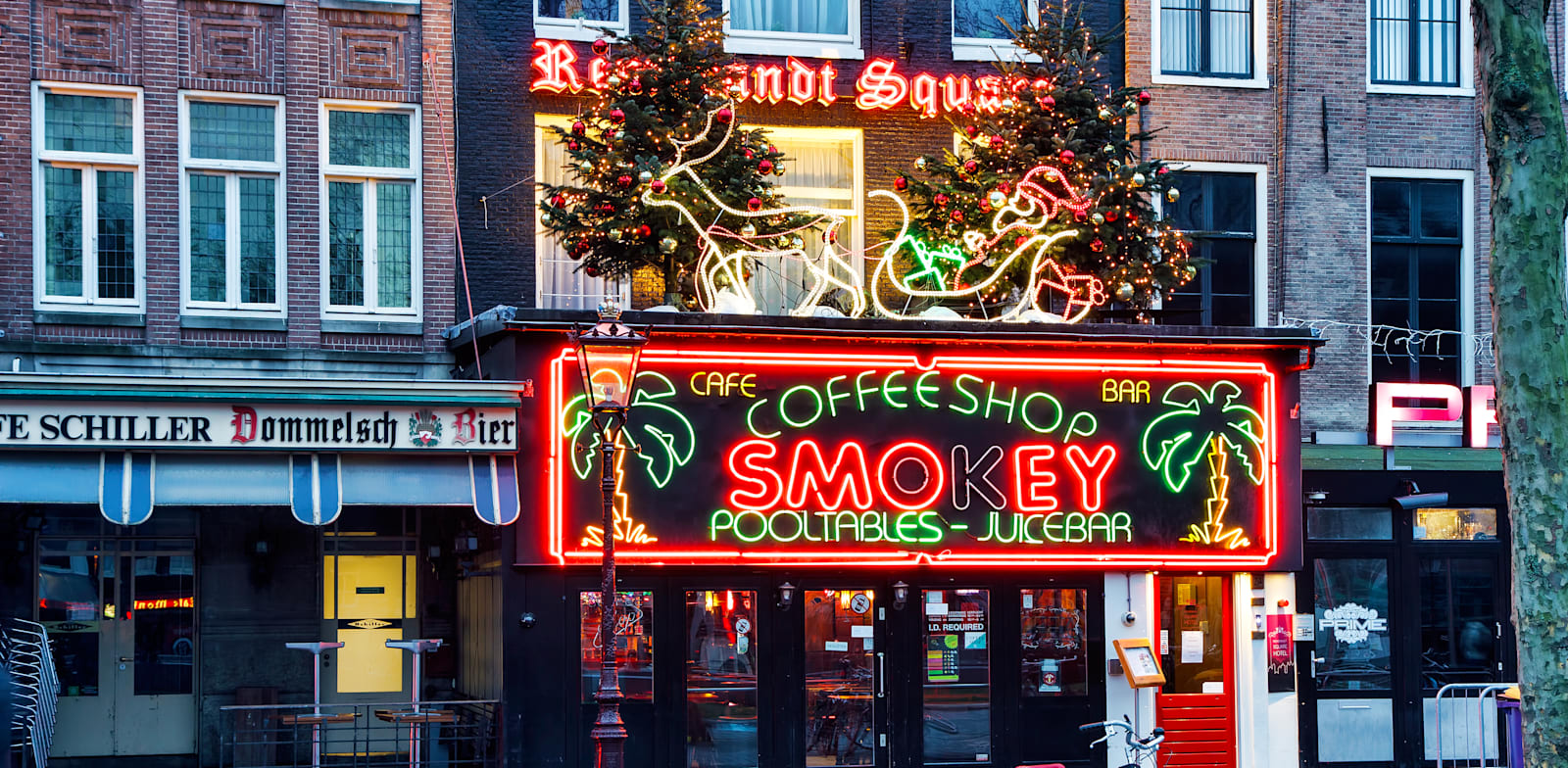 קופי שופס באמסטרדם / צילום: Shutterstock